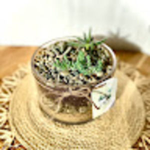 Meet your Posher, Joelle